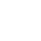 Profile of MC Alee